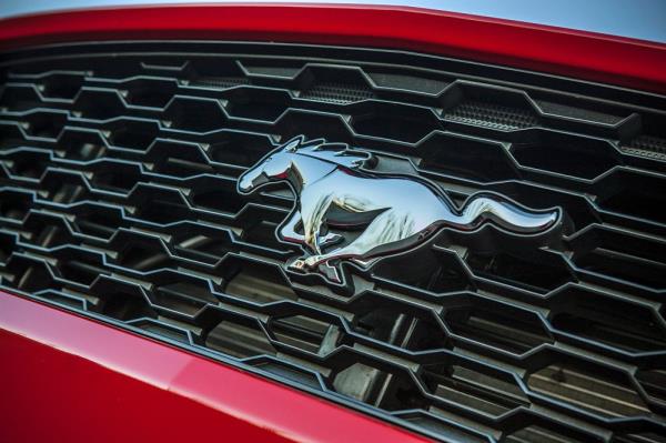 กระจังหน้าพร้อมสัญลักษณ์ Ford Mustang
