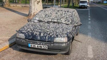 รถผมโดนนกขี้ใส่ต้องล้างขัดสีหรือเปล่าครับ