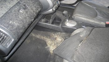 เบาะรถยนต์มีคราบเชื้อราควรทำอย่างไรดีค่ะ