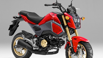 รู้จัก Honda MSX 125 2019 มินิไบค์แนวสตรีต ลุ้นเปิดตัวโฉมใหม่ภายในปี 2563