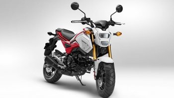 ปรับสีสันใหม่ Honda Msx 125 2020 ที่ญี่ปุ่น