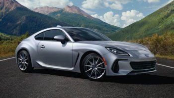 หมากัดรถ ป้องกันยังไงดี ? ประกันจ่ายไหม บทความนี้มีคำตอบ