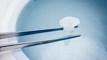 ฝากไข่ ค่าใช้จ่ายเท่าไร ? สรุปให้ครบก่อนตัดสินใจ