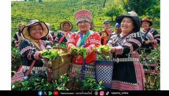 ‘พันธุ์ไทย’ เสิร์ฟปรากฏการณ์ ‘เหนือ-ใต้ เฟรชเจอร์ริ่ง’ เปิดตัว ‘โอ้เอ๋วชามะลิดึ๋ง’ ขยายพอร์ต Non-Coffee เชื่อมเจนใหม่ผ่าน Music Marketing