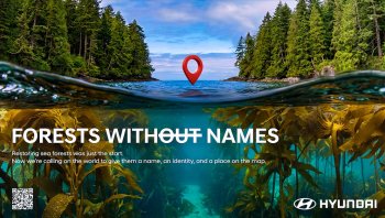 ฮุนได มอเตอร์ ยกระดับภารกิจฟื้นฟูระบบนิเวศทางทะเล ผ่านแคมเปญ Forests Without Names ทั่วโลก