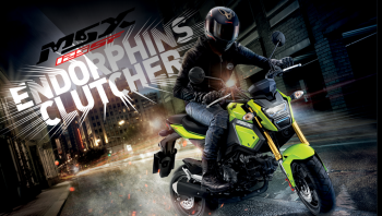 [MSX] Honda MSX 125SF มินิสปอร์ตพันธุ์ใหม่ 125 ซีซี ราคา ตารางผ่อน-ดาวน์